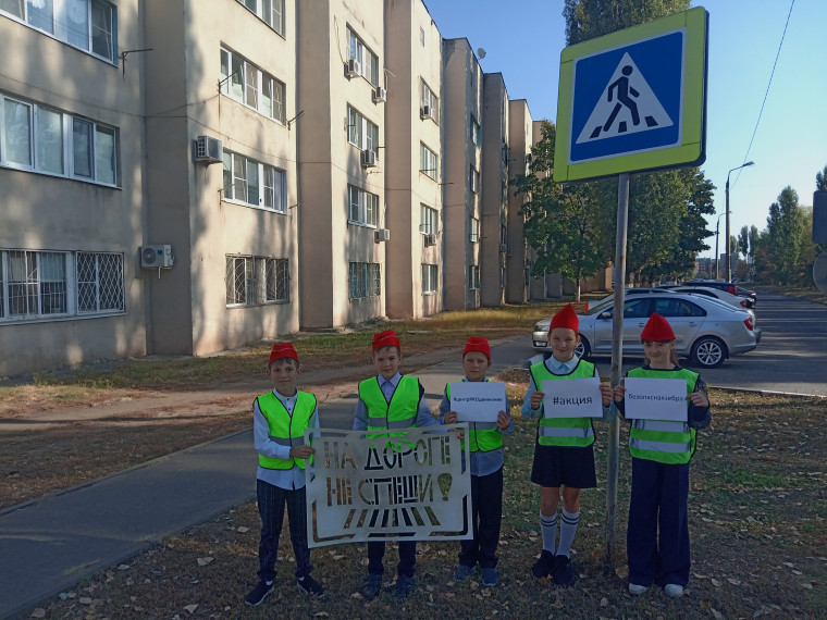 Безопасная зебра.