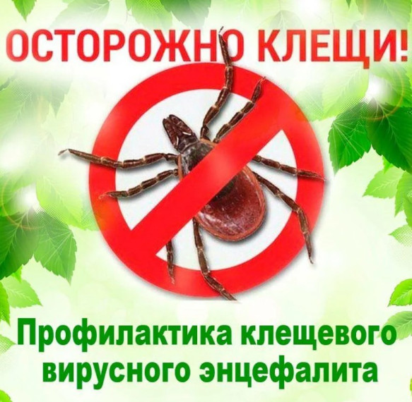 О проведении «горячей линии».